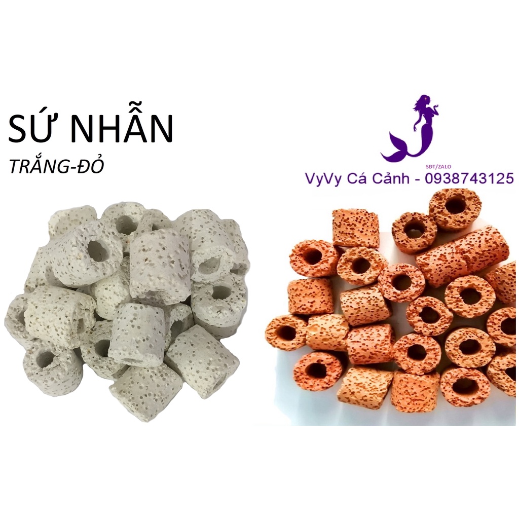 Sứ nhẫn trắng/đỏ (1kg)