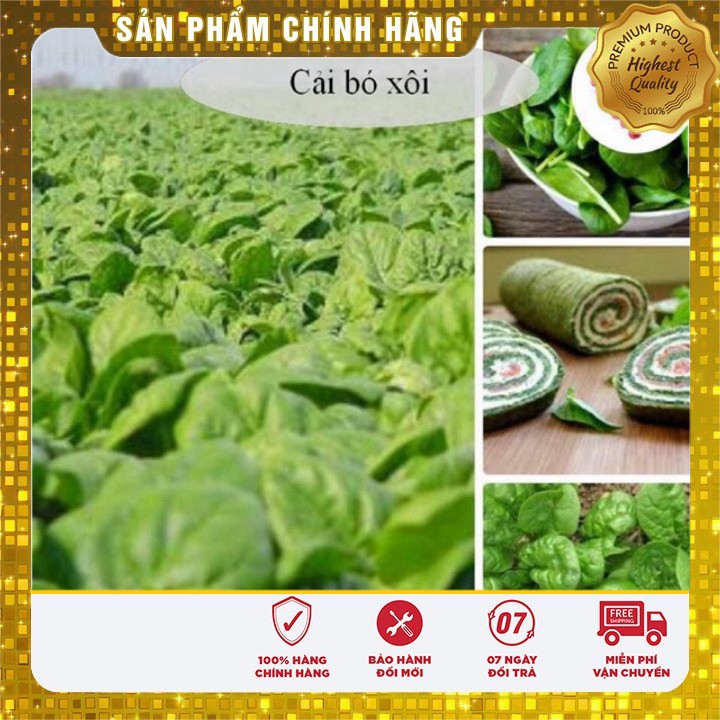 Hạt Giống Rau Cải Bó Xôi Chịu Nhiệt ( 20 gram)