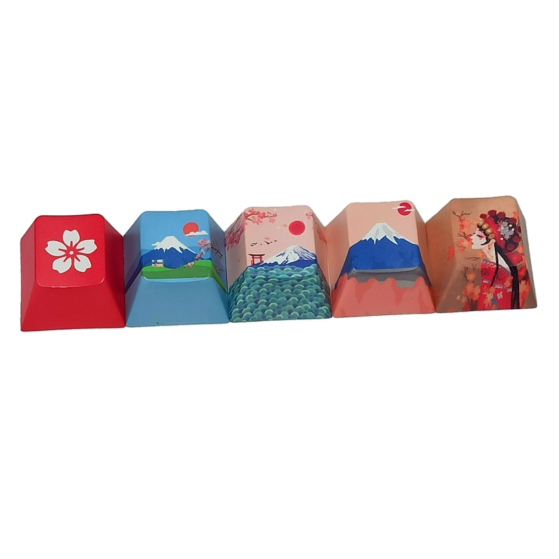 Set 5 Nút Bàn Phím Cơ R4 Fuji PBT Nhuộm Màu In Hình btsg