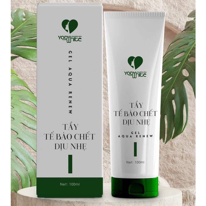 Tẩy tế bào chết dịu nhẹ Yody White Phương Anh - Tẩy da chết Gel Aqua Renew Phương Anh