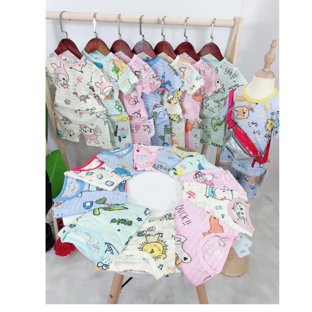 Bộ cotton giấy tre