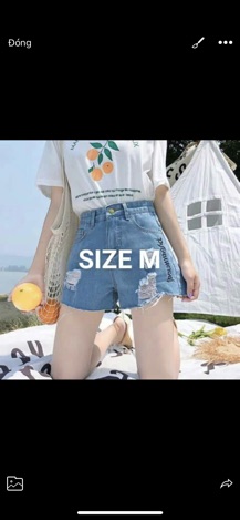Combo 5sp