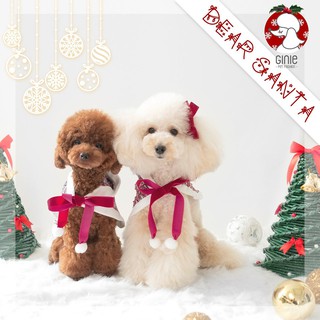 Áo choàng Noel cho thú cưng