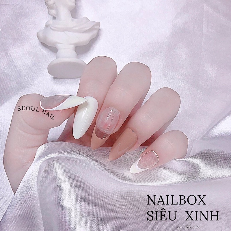 Nailbox - Móng úp sẵn