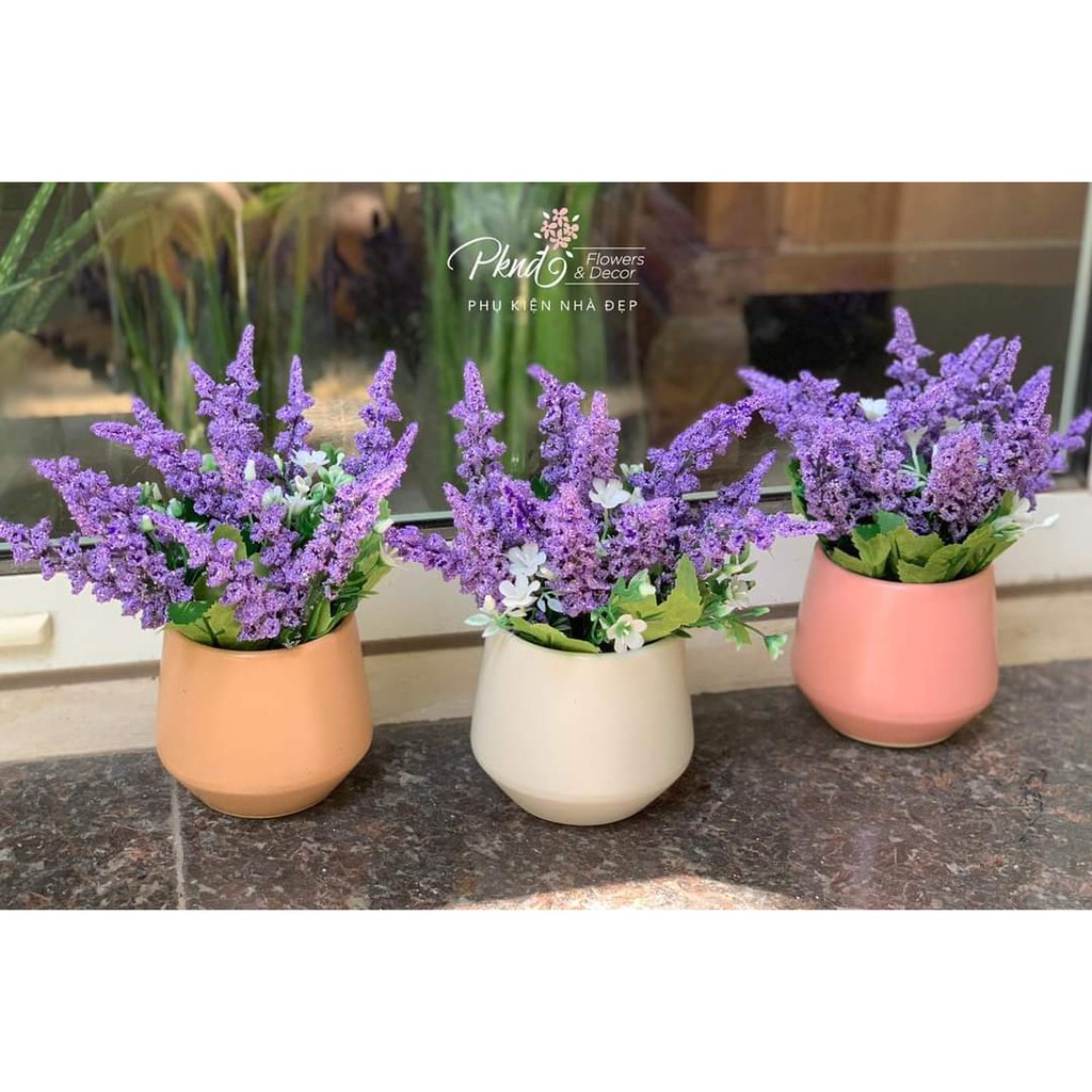 Chậu hoa giả lavender để bàn trang trí đẹp PKND CH15 (inbox chọn màu chậu)