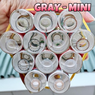 Lens xám mới