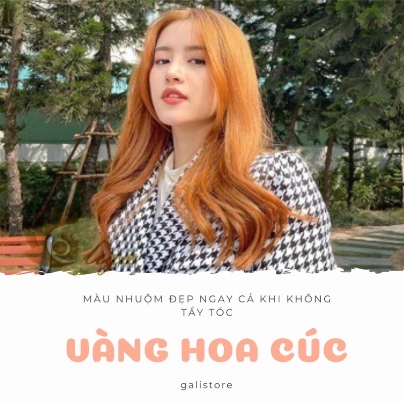 thuốc nhuộm tóc vàng hoa cúc + tặng oxy trợ dưỡng