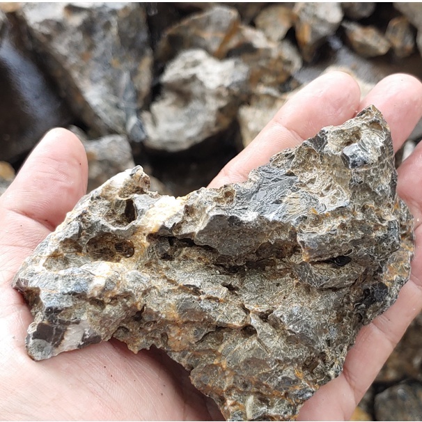 Đá Đẹp Setup Hồ Thuỷ Sinh Hồ Bán Cạn TIểu Cảnh Hồ Cá Cảnh