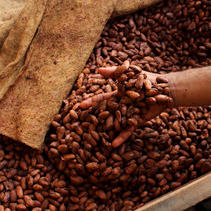 Thức uống sô cô la thơm đậm vị cacao nguyên chất - Bột socola Hot Chocolate hòa tan CacaoMi hộp thượng hạng 357g