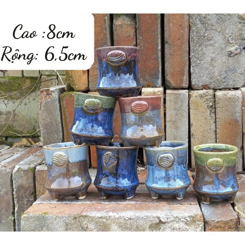 Combo full set chậu trồng cây cảnh, sen đá, xương rồng