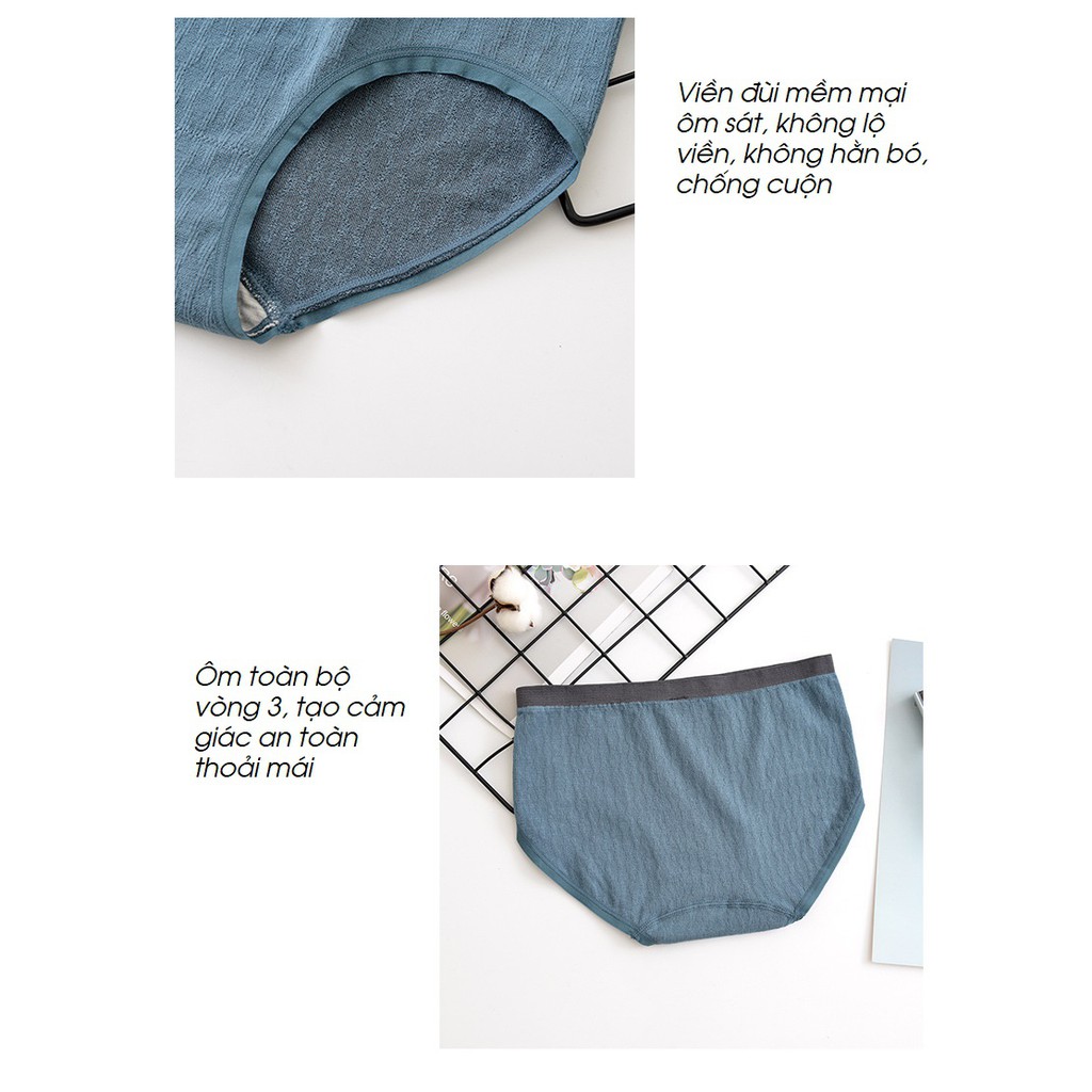 Quần Lót Cotton Mịn Chống Hằn Không Lộ Viền Siêu Mềm Cao Cấp Mới P429