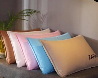 Gối lông vũ hàng hiệu sẵn hàng (giá bán theo cặp 2 chiếc)
