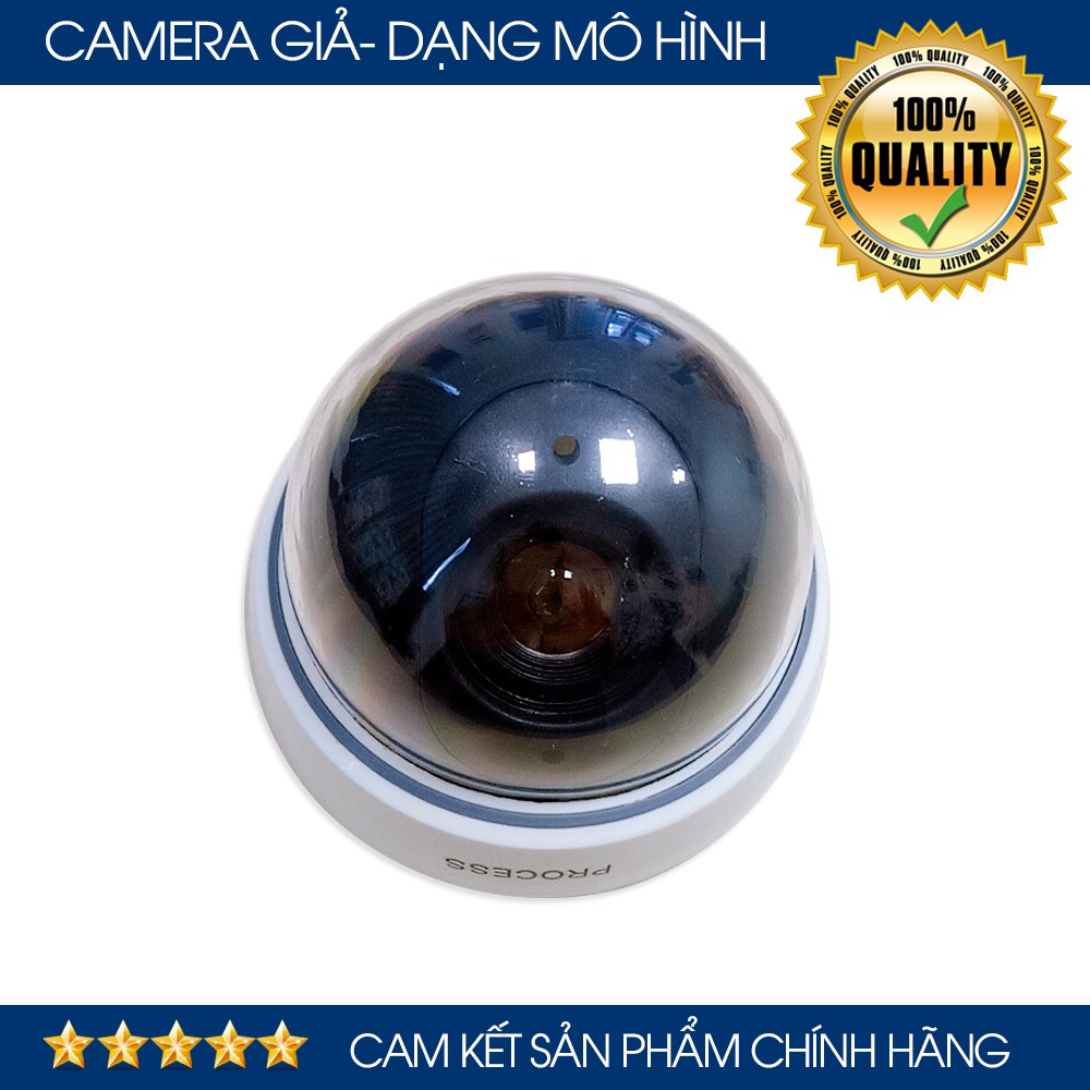 Mô Hình Camera Ngụy Trang Giống Y Như Camera Thật Giúp Chống Trộm Hiệu Quả