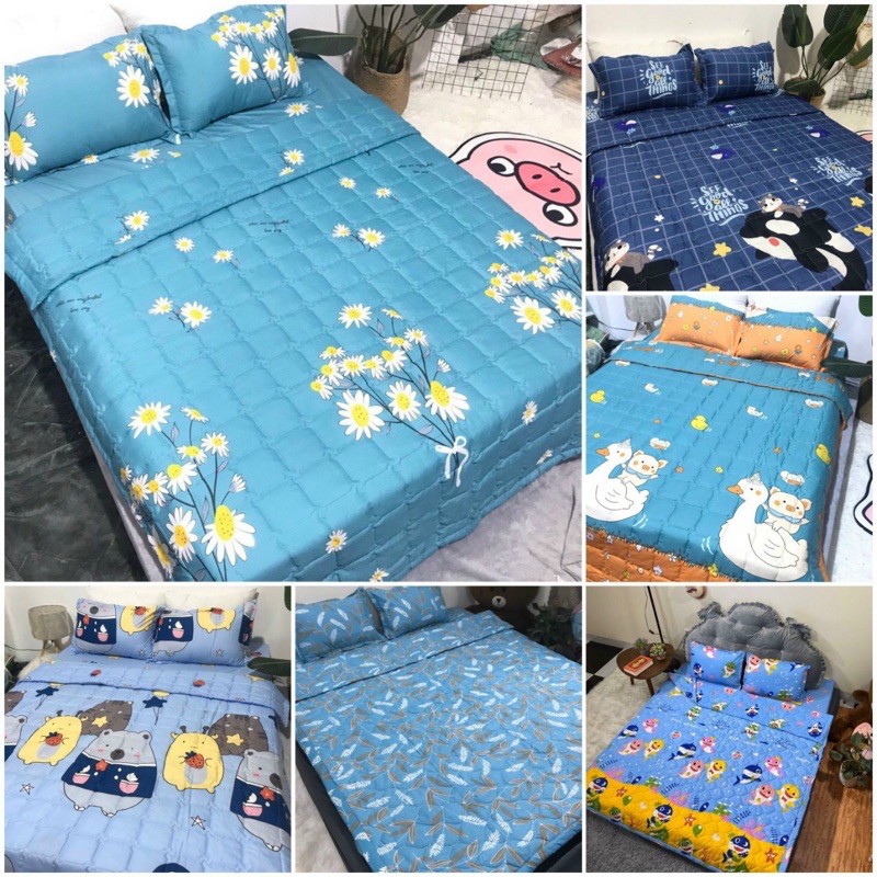 Trọn bộ 5 món chăn ga gối hè trần bông 3 lớp cotton poly | BigBuy360 - bigbuy360.vn