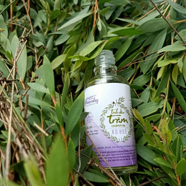 Dầu tràm ngâm ném hiểu nhy 100 ml