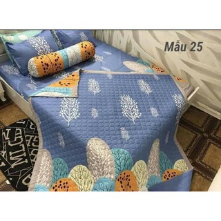 Sét ga gối + chăn hè poly - HÀNG LOẠI 1
