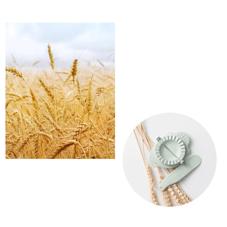 HCM - (3 màu) Khuôn lúa mì làm bánh xếp, sủi cảo an toàn thực phẩm