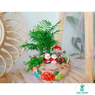 Cau tiểu trâm, may mắn, tài lộc .