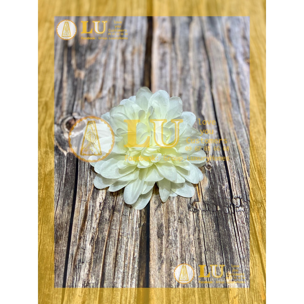 Đầu hoa Thược dược nhỡ | LU