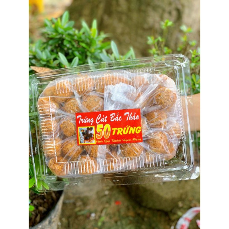 Trứng cút bắc thảo hộp 50 trứng còn trấu