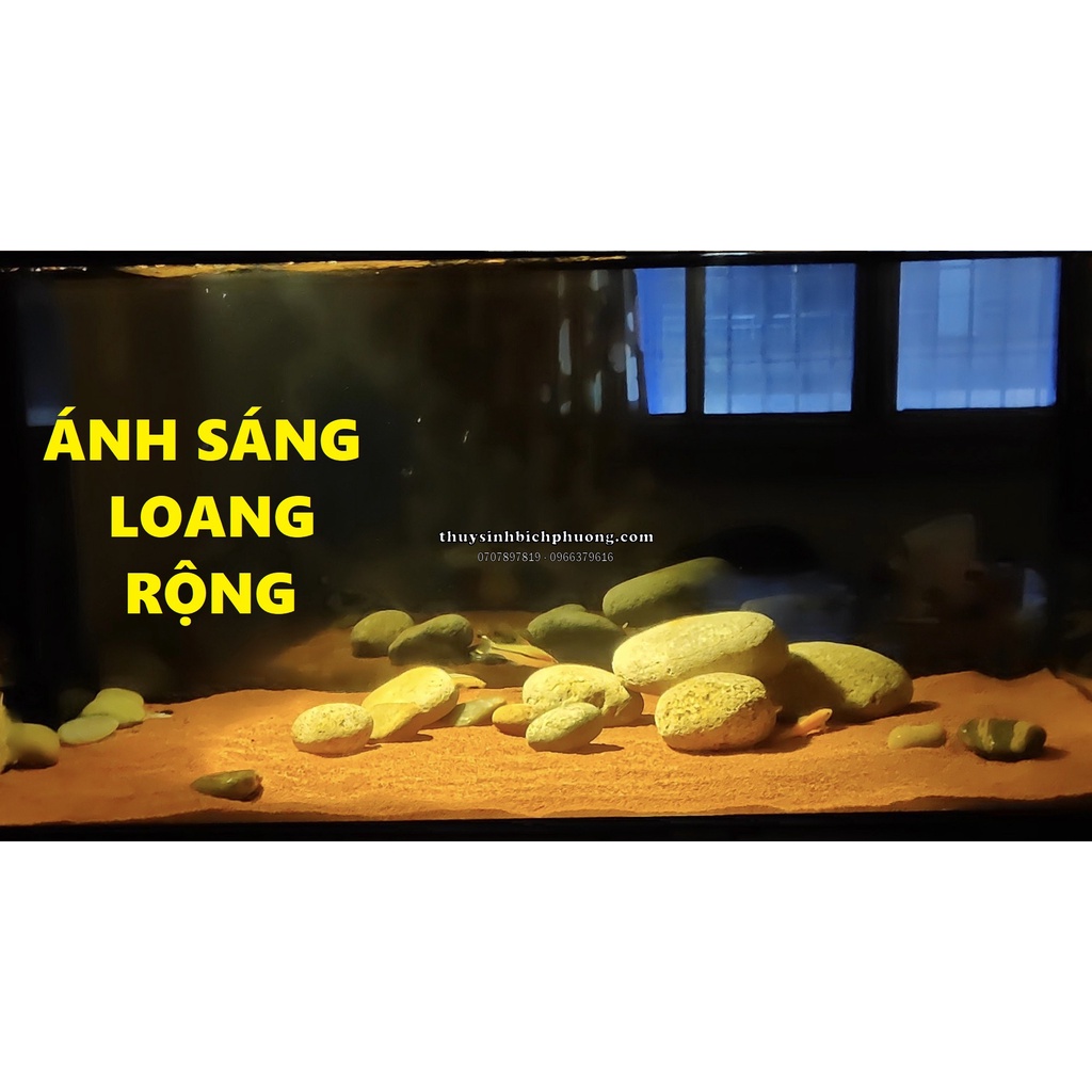 ĐÈN LED RỌI 7W 3 CHẾ ĐỘ ( VÀNG-TRẮNG-VÀNG NHẠT)-  DÙNG CHO HỒ THUỶ SINH, BIOTOP, HỒ BÁN CẠN...