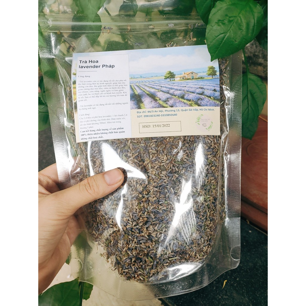 (ảnh thật + video) lavender hoa oải hương 1 kí