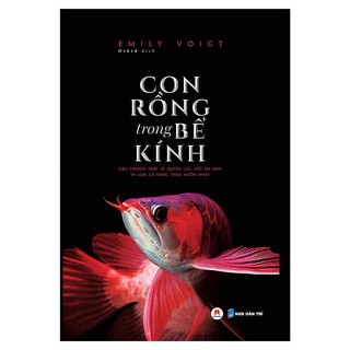 Con Rồng Trong Bể Kính