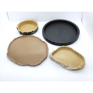 Chén ăn, uống cho rùa và bò sát