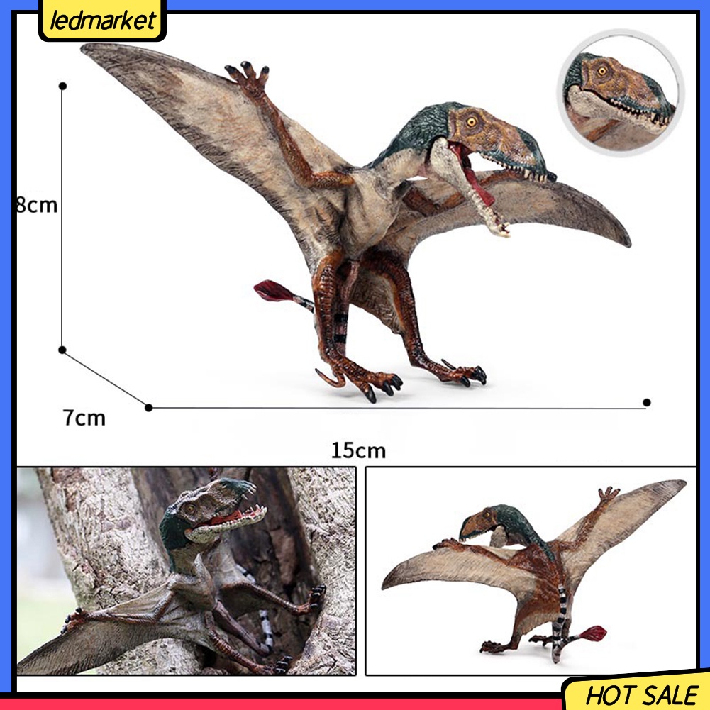 Mô hình đồ chơi khủng long bay dành cho bé yêu