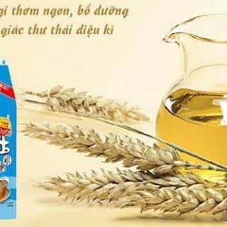 Trà lúa mạch Mugi Nhật Bản hạn t12/2019