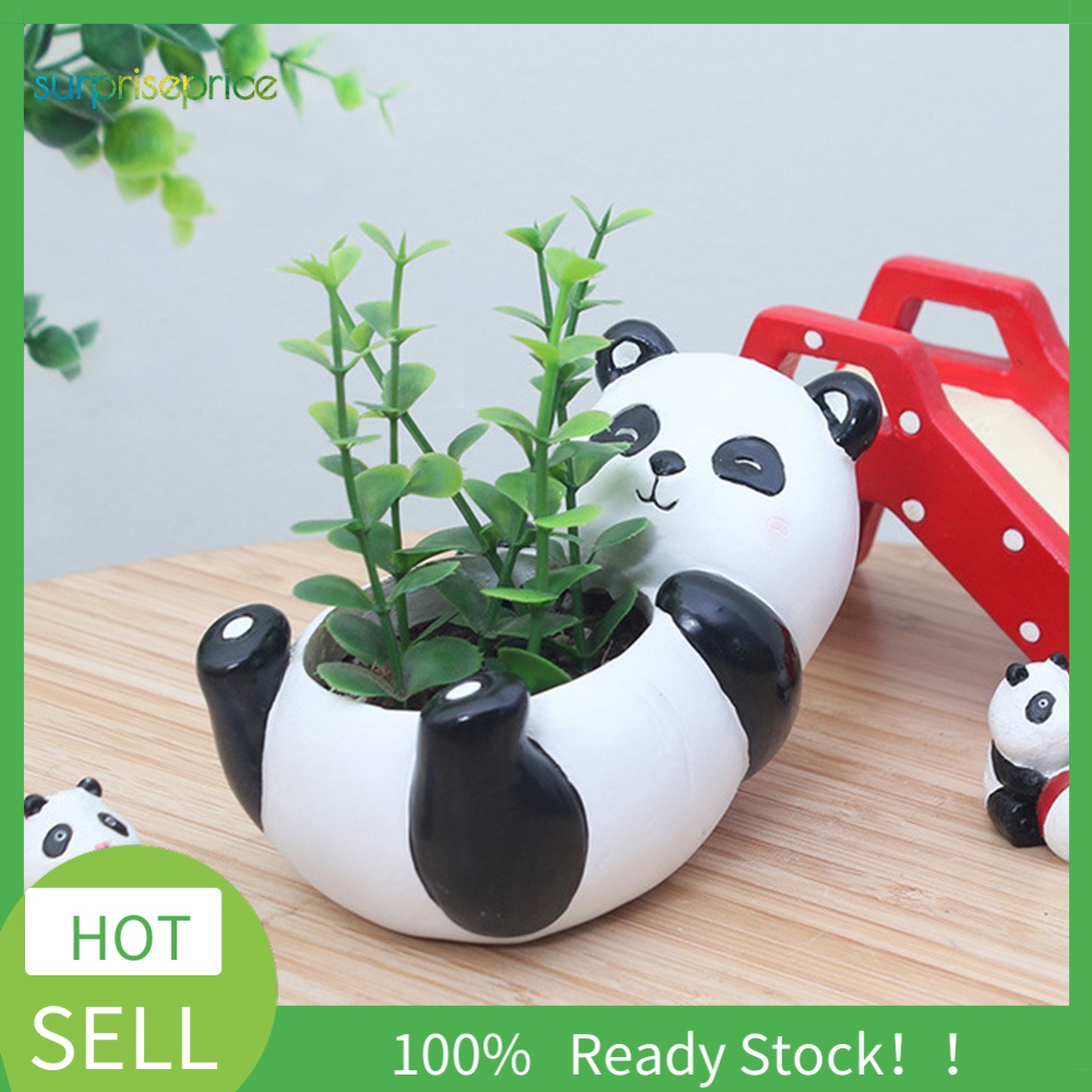 【SPP】Mini Cute Panda Desktop Succulent Plants Flower Pot Home Garden Landscape Decor