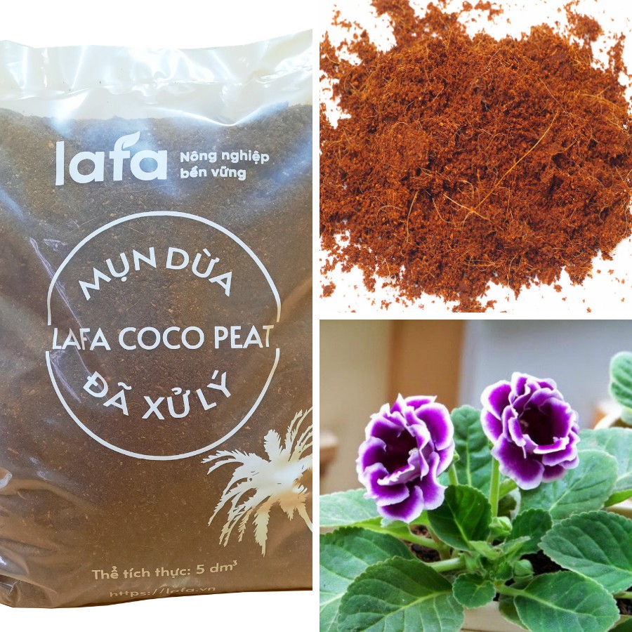 Mụn sơ dừa, mụn dừa, giá thể trồng cây LAFA COCO PEAT đã xử lý túi 5 lít chuyên trồng cây cảnh