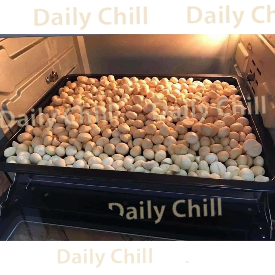 Nhân Macca Sấy Nguyên Hạt Loại 1 - Daily Chill