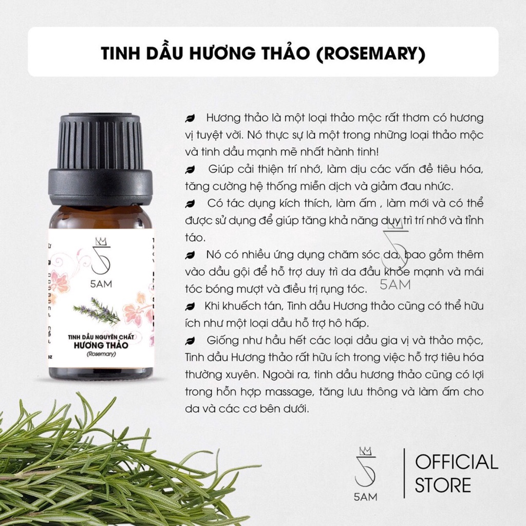 Tinh dầu Hương thảo Ấn Độ 10ml | 5AM Store