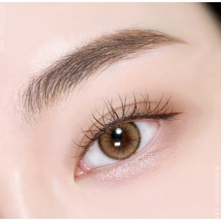 Bột tán lông mày Missha Melting Powder Brow