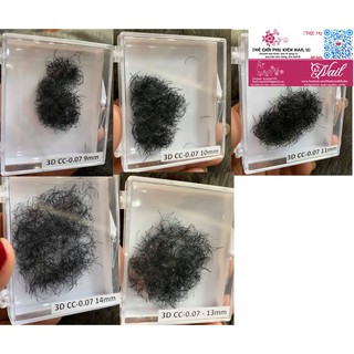 Mi Fan 3D, Mi Nối 3D 1000 fan/hộp, Mi 3D Độ Cong C, CC, D/0.07 đủ độ dài