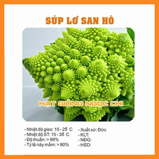 Hạt Giống Rau Súp Lơ San Hô - 20 Hạt