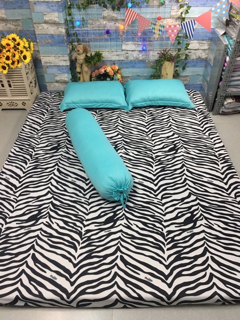 Bộ Drap Thun Vằn phối màu