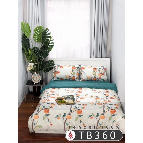 Bộ ga gối lụa tencel 60s trơn, tencel modal cao cấp, chất mát lạnh, ga chun đủ size, phong cách sang trọng