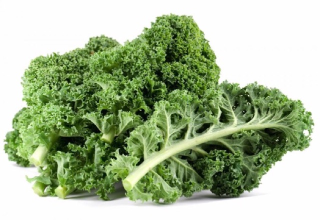 Giống cải Kale ( cải xoăn)