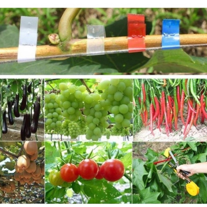 10 CUỘN DÂY BUỘC  COMBO 10 CUỘN DÂY/BĂNG BUỘC CÀNH NGỌN