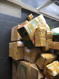Dây Dầu gội clear hoa anh đào