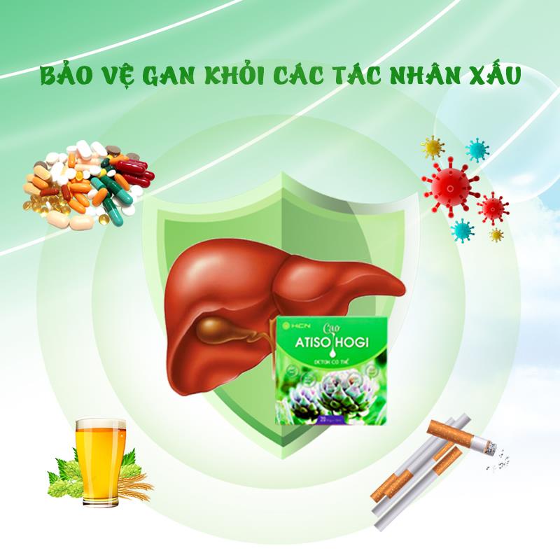 Cao atiso - Cao nước chiết xuất hoa atiso HOGI thanh lọc cơ thể hộp 20 ống x 10ml