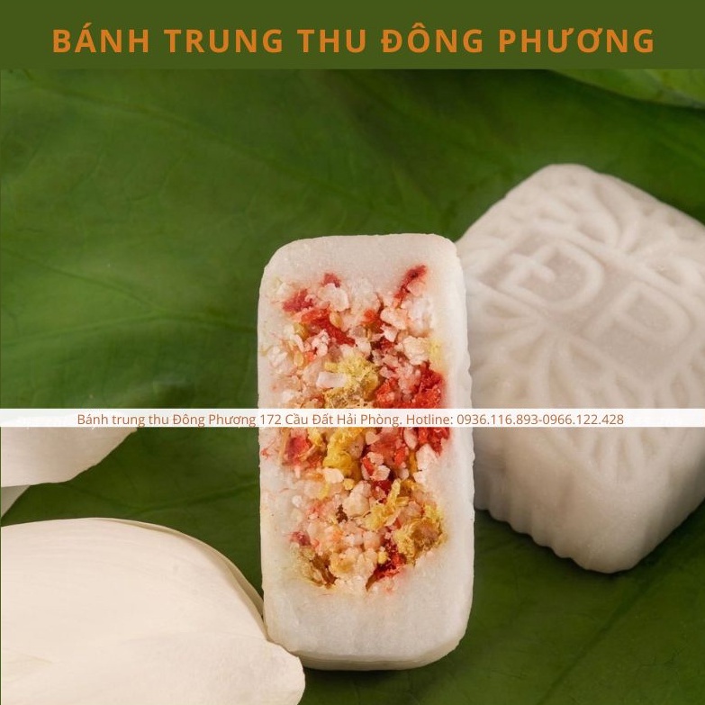 🔥BÁNH TRUNG THU ĐÔNG PHƯƠNG HẢI PHÒNG