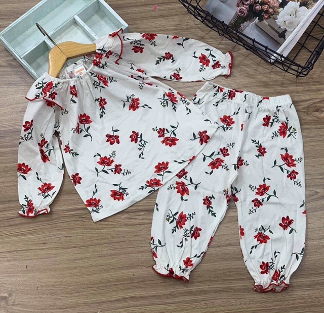 Bộ dài tay bé gái size nhí(6kg-20kg)