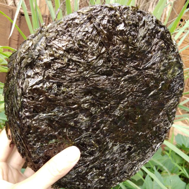 Rong biển sạch 500g