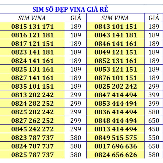 SIM SỐ ĐẸP VINA