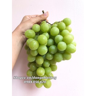 Nho xanh Mỹ, giòn ngọt, không hạt 1KG