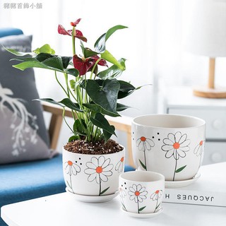 Chậu Trồng Cây Bằng Gốm Sứ Cỡ Lớn Tiện Dụng