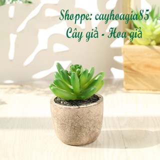 Cây giả - Chậu Sen đá (cả cây và chậu)